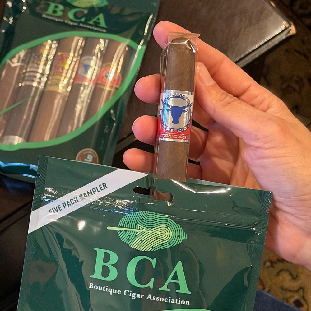 BCA Quarterly Sampler NOV25