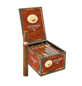Tatiana Dolce Cinnamon 5x30