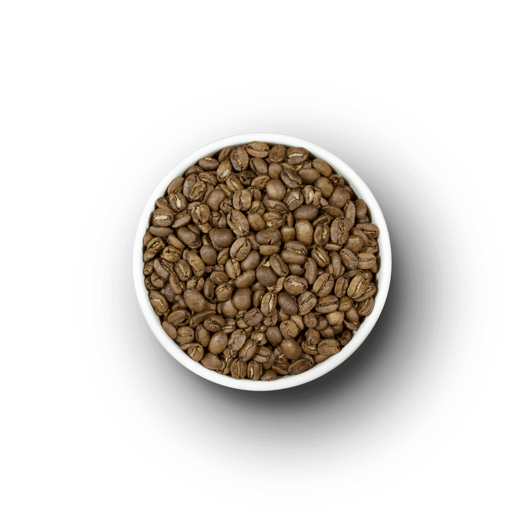 Kafie 1901 Sumatra coffee tasting notes